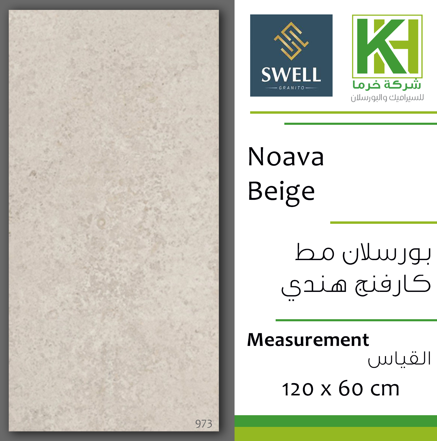 Picture of Indian Matt Carving porcelain tile 60x120 cm Noava Beige